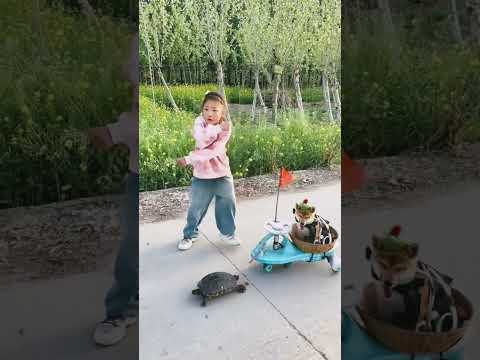 cute baby short video ❤️❤️ #funny #babyzone #cute #cutezone #farming #funzone #baby #playingzone