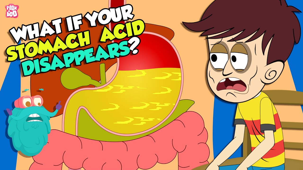 What if Your Stomach Acid Disappeared? 🤔