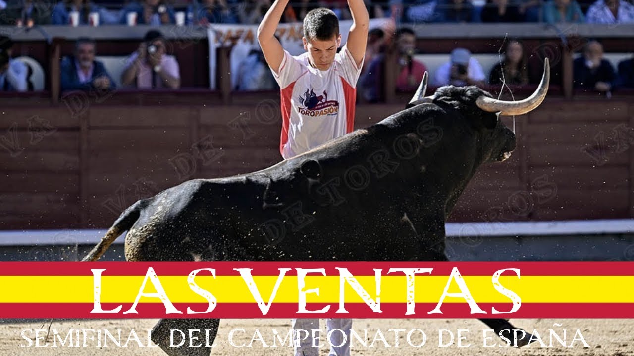 Concurso de Recortadores Semifinal en España 🇪🇸