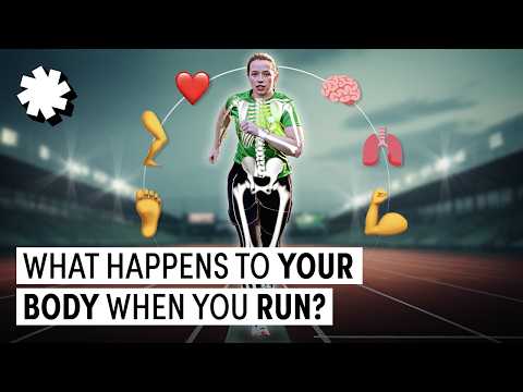 What Happens To Your Body When You Run 5k?