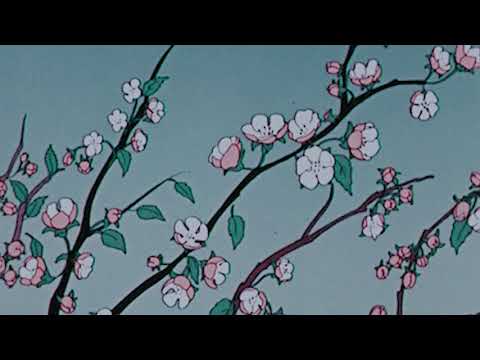 clocks - coldplay (slowed n reverb)