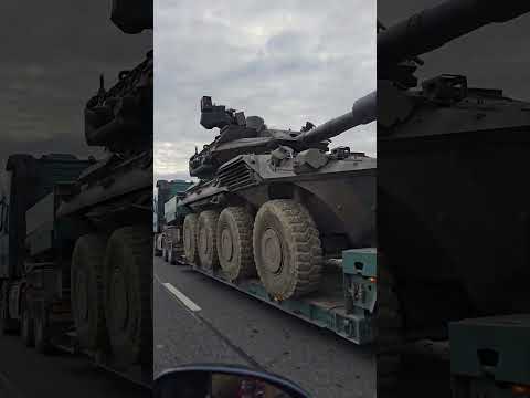 #amaliabellantoni #romania