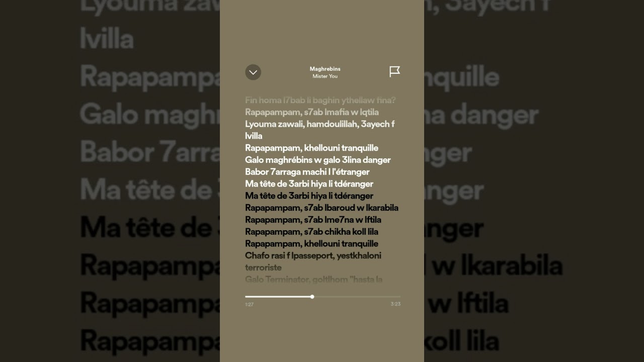 Mister You - Maghrebins 🎶 Full Song with Lyrics | Popular Maghreb Music