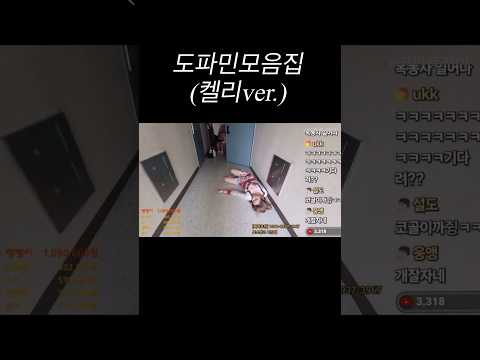 도파민모음.zip (켈리ver.) #카광 #노수현 #이태원켈리