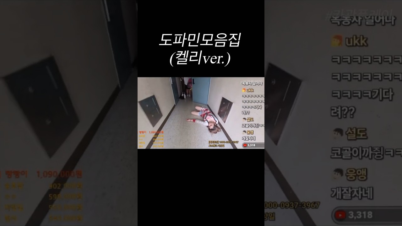 도파민모음.zip (켈리ver.) 🎶 - 카광, 노수현, 이태원켈리의 특별한 무대