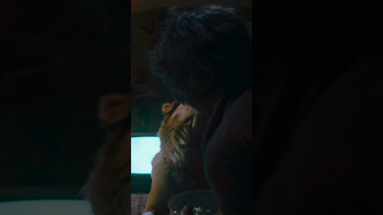 Good Boy (2025) One-Minute Horror Review 🐶