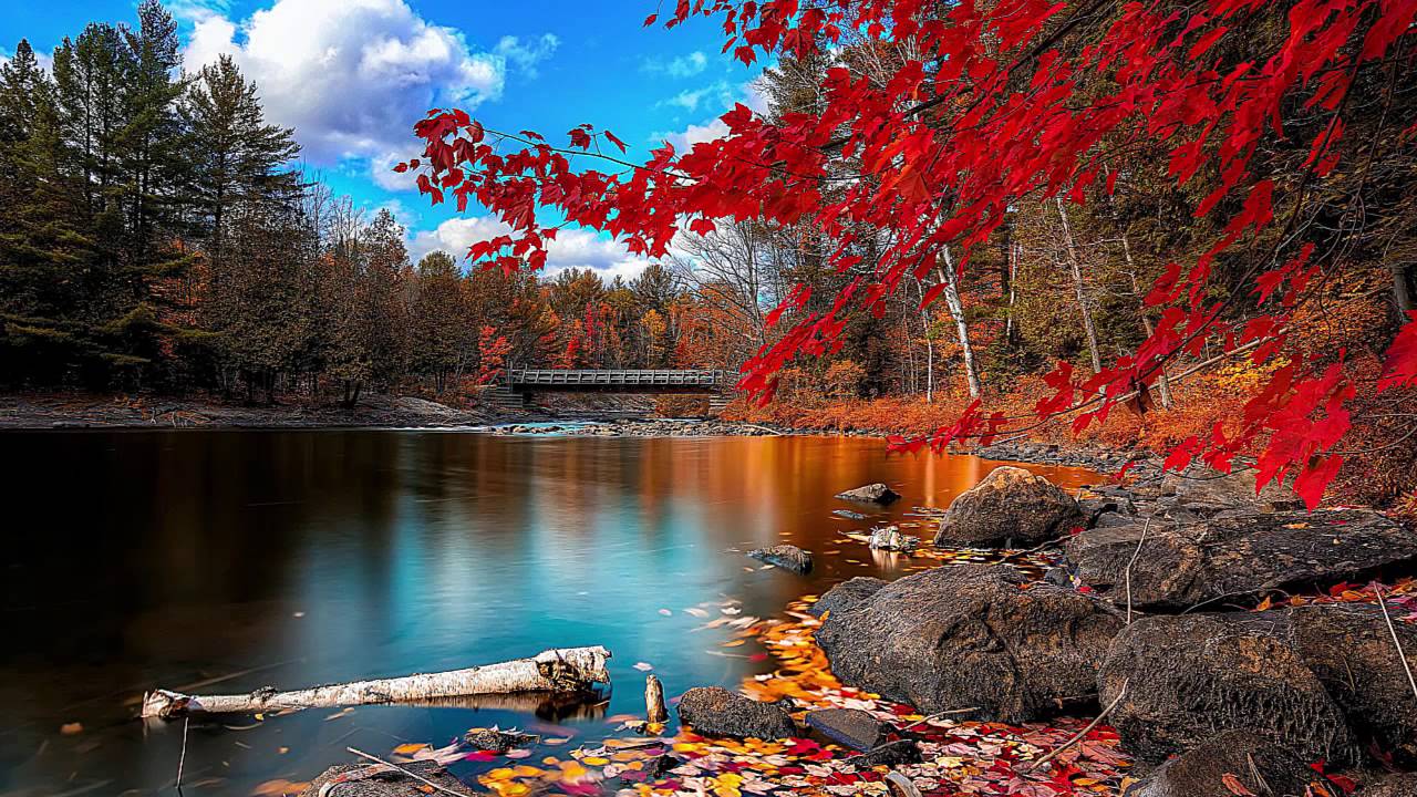 Mere Bina (Crook) Instrumental 🎶