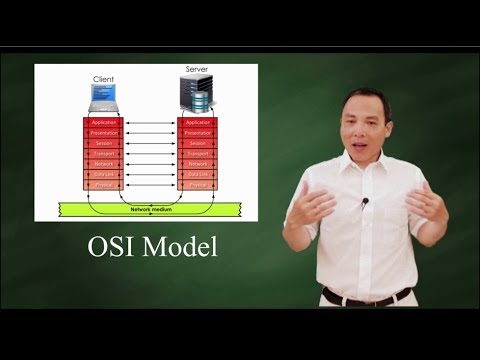 OSI Model