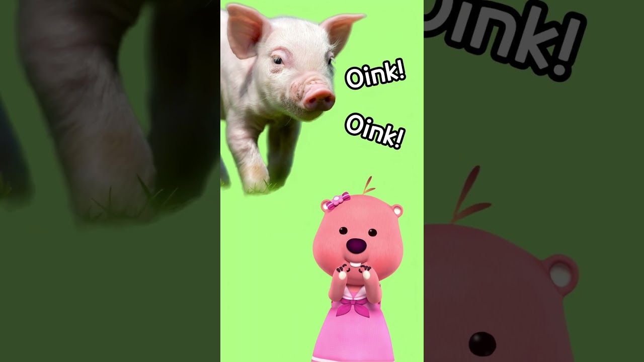 Belajar Suara Hewan Lucu Bersama Loopy Ajak 🐵🐮