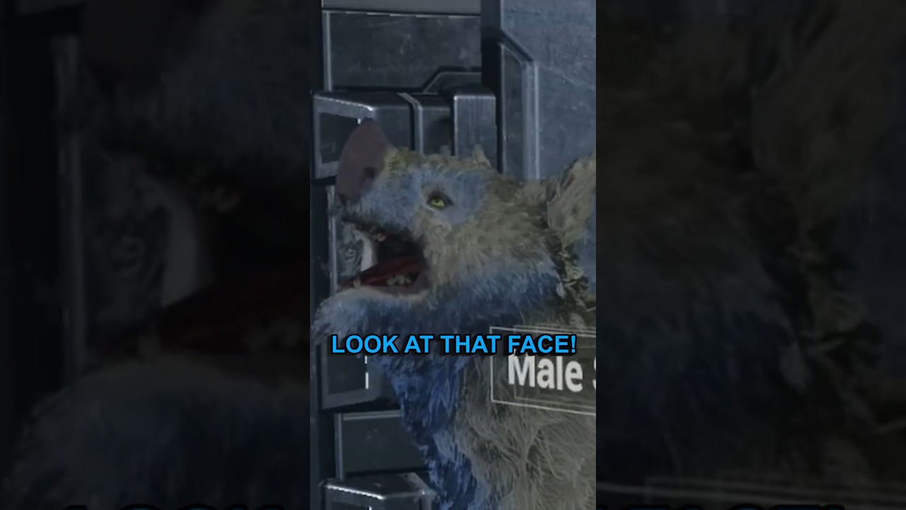 My First Kubrow Adventure in Warframe ๐พ