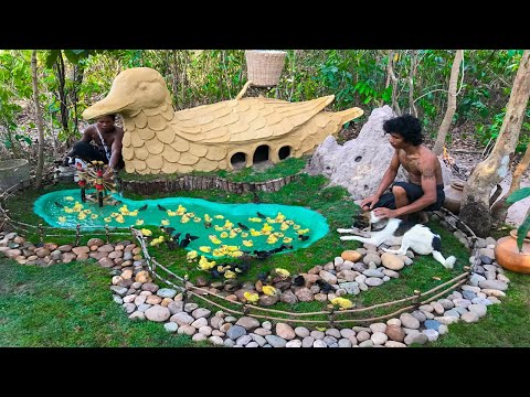Building Mud Duck House For Baby Abandoned Duck With Pond At The Forest