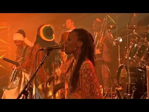 Tiken Jah Fakoly Live in Paris 2008 🎶