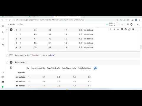 Set Index and Reset Index in Pandas