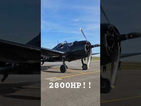 Grumman F6F Hellcat "Death N' Destruction" start-up #aviation #flight #wwii #warbird #history