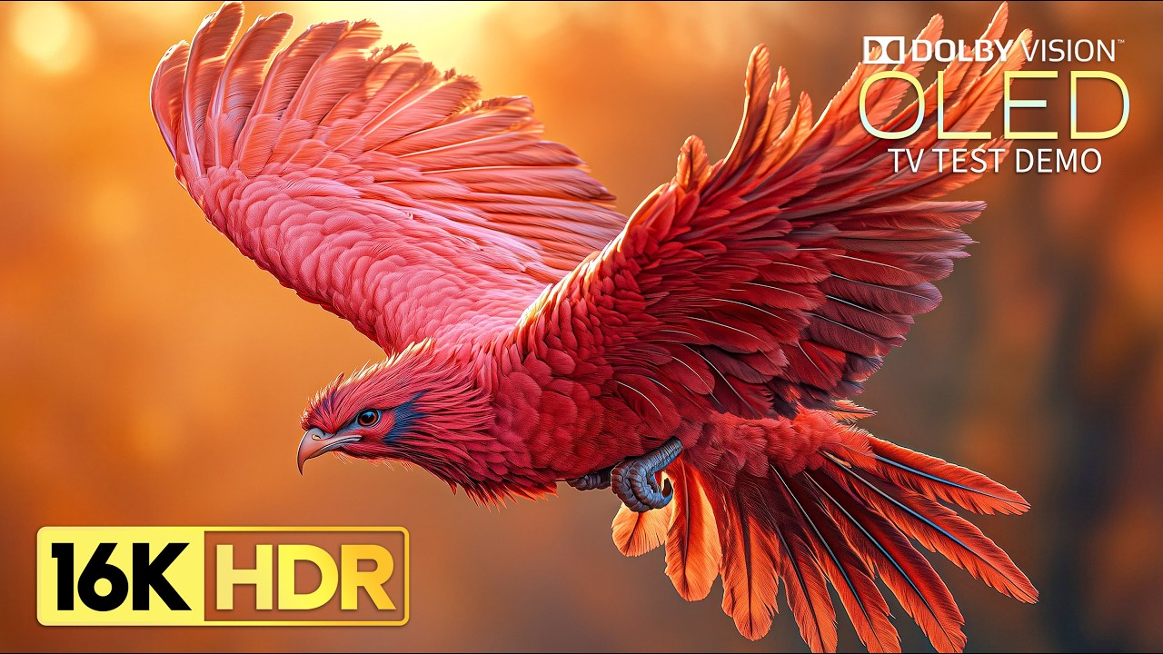 Absolutely Amazing 16K HDR 120 fps Dolby Vision (8K/4K TV)