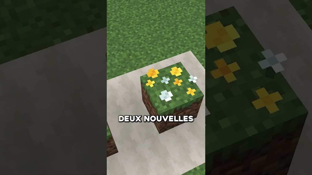 4 nouveautés INCROYABLES sur Minecraft 🤯