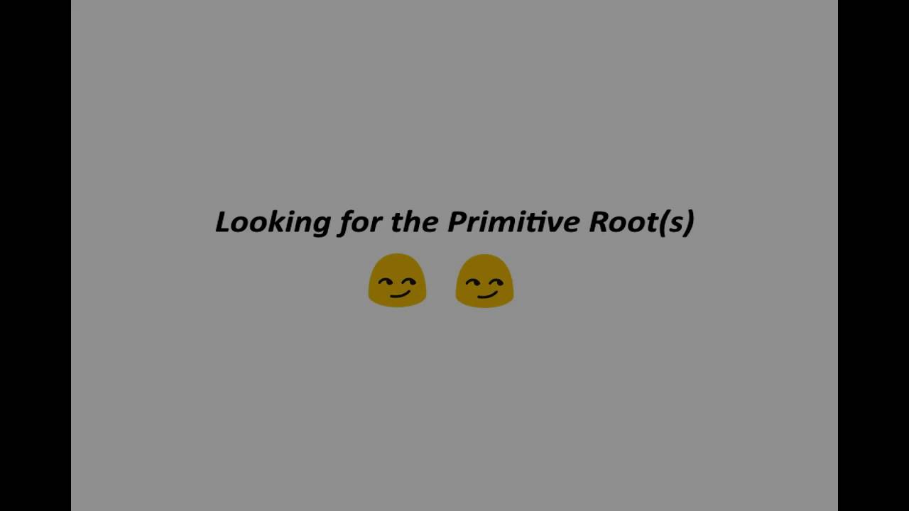 Understanding Discrete Logarithm in Cryptography π