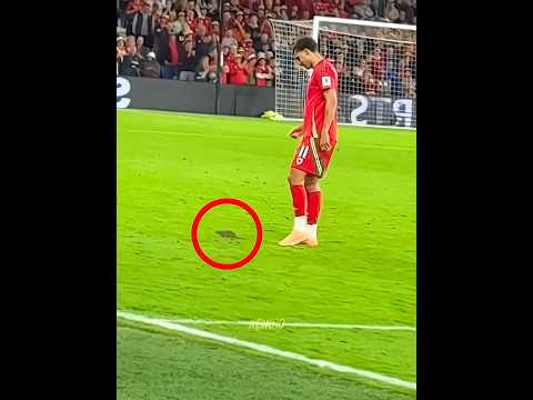 Animal Moment in Football 🤯