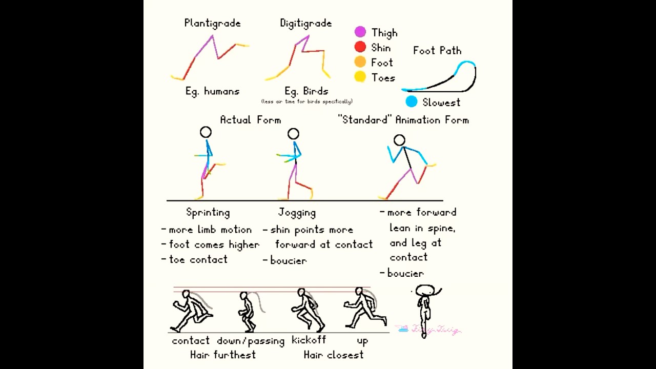 Biped Run Cycle Animation Tutorial πββοΈ