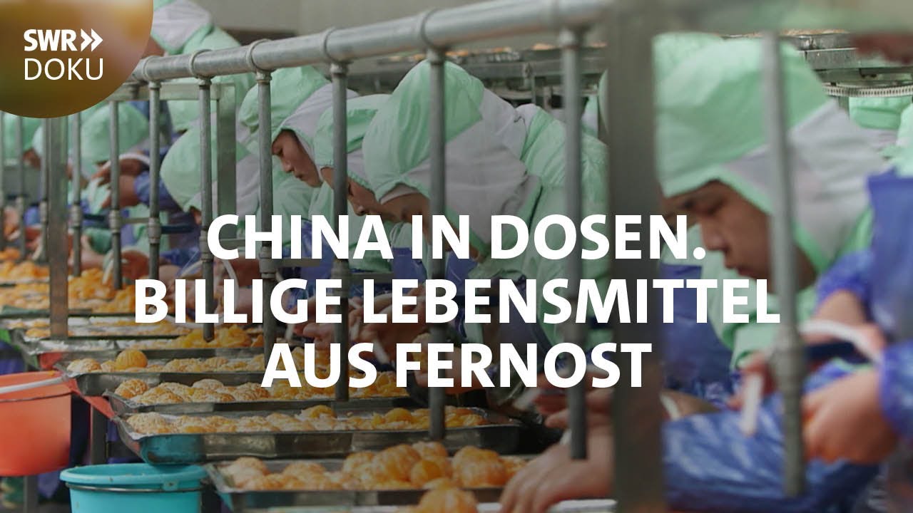 Billige Lebensmittel aus Fernost: Chinas Produktion 🥫