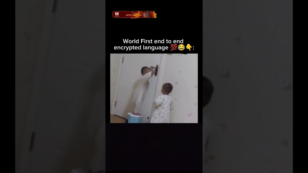 Understanding Cryptography: Safeguarding Your Data