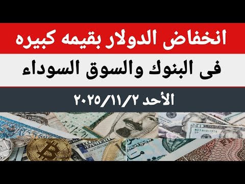سعرالدولار اليوم /أسعار الدولار اليوم/أسعار الدولار والعملات اليوم  الأحد2025/11/2/في مصر