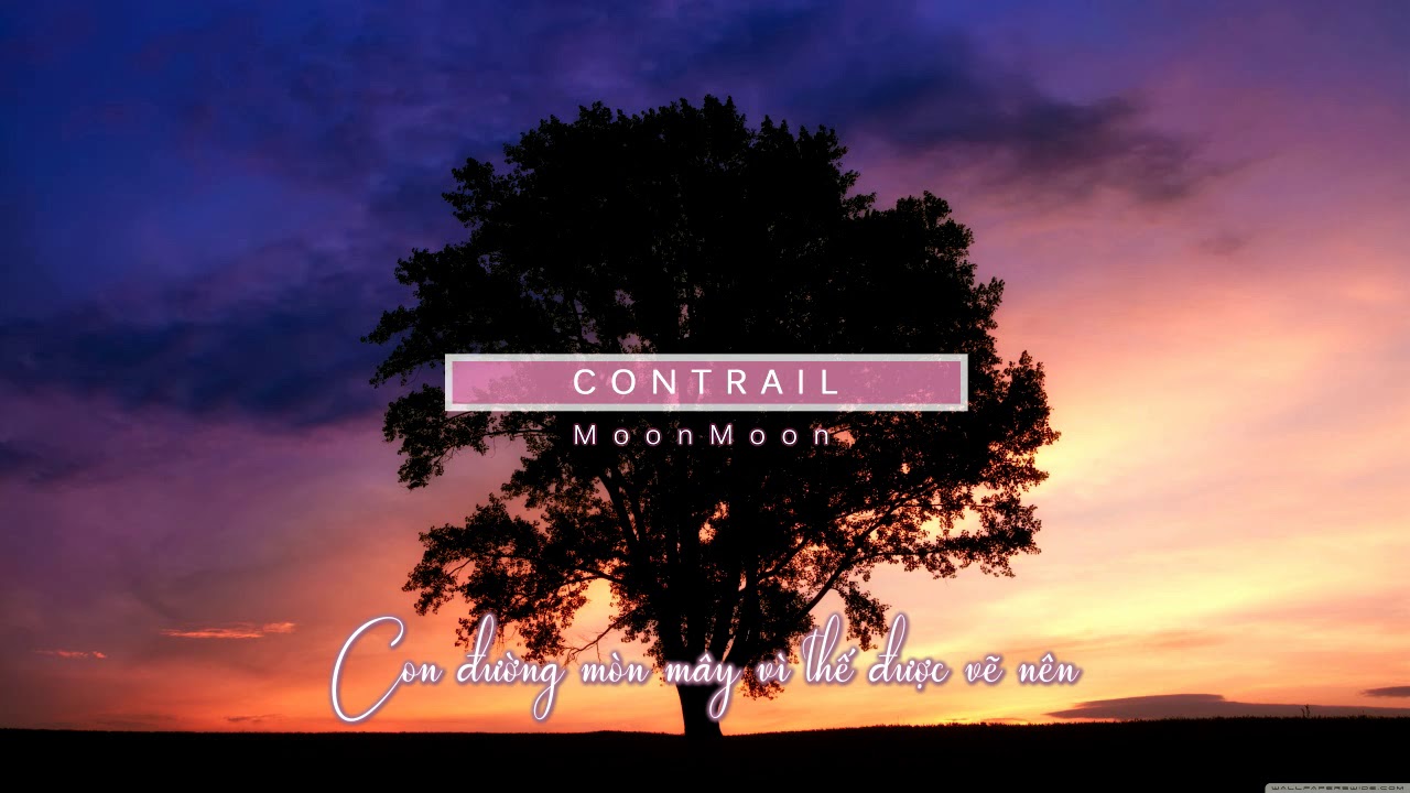 [Vietsub] Korean Indie | MoonMoon - Contrail | Deeply Moving Song You Must Hear 🎶