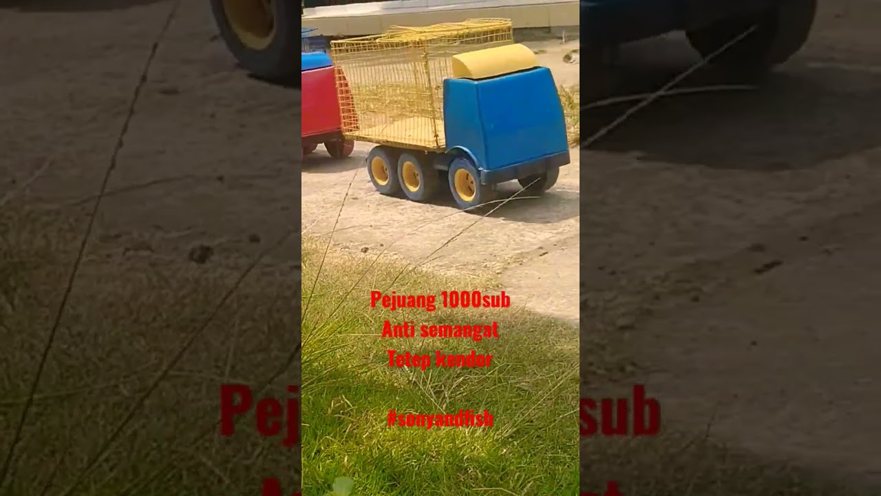 Seru! Mainan Truk yang Bikin Semangat 🎉