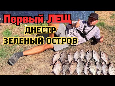 Днестр, Зеленый остров. Большой улов Леща. #fishing#рыбалка#рыбалканафидер#днестр 