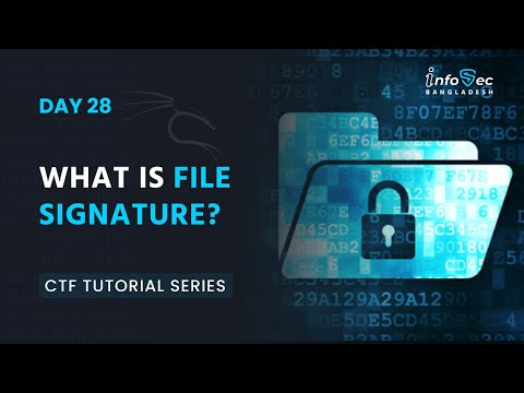 [বাংলা] Beginner To Advance CTF #Day​​-28 Digital Forensics - File Signature |
