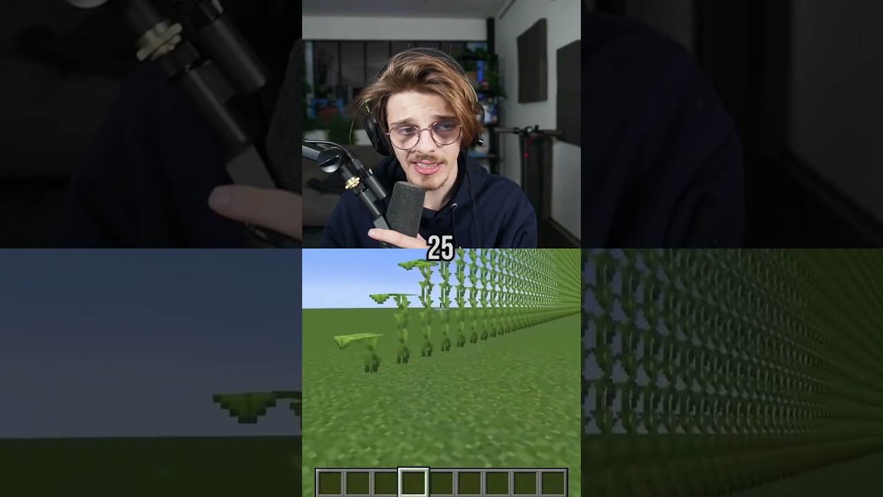 Minecraft selon l'âge : comment jouer ?