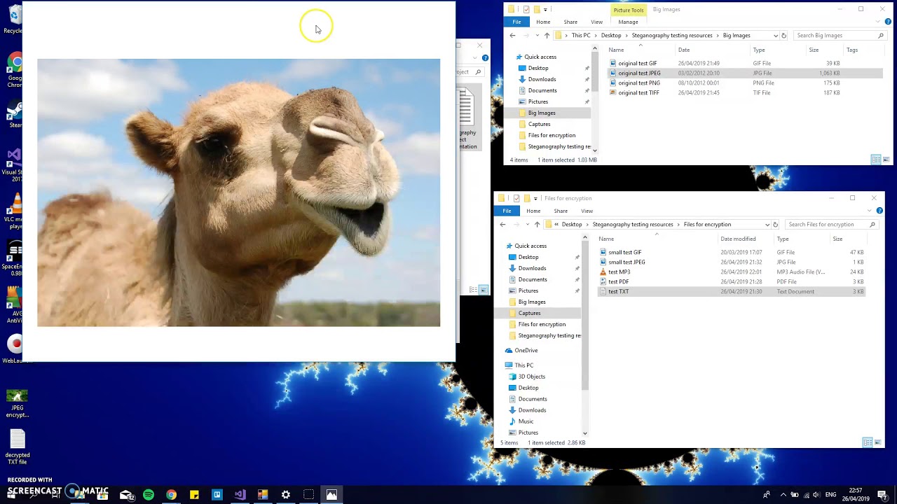 Steganography Project: Live Demo & Working Code 🚀