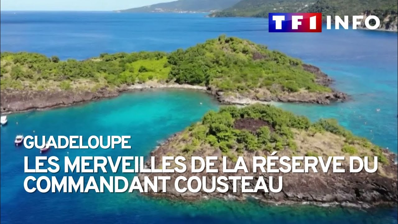 Guadeloupe: Merveilles de la Réserve Cousteau 🌊
