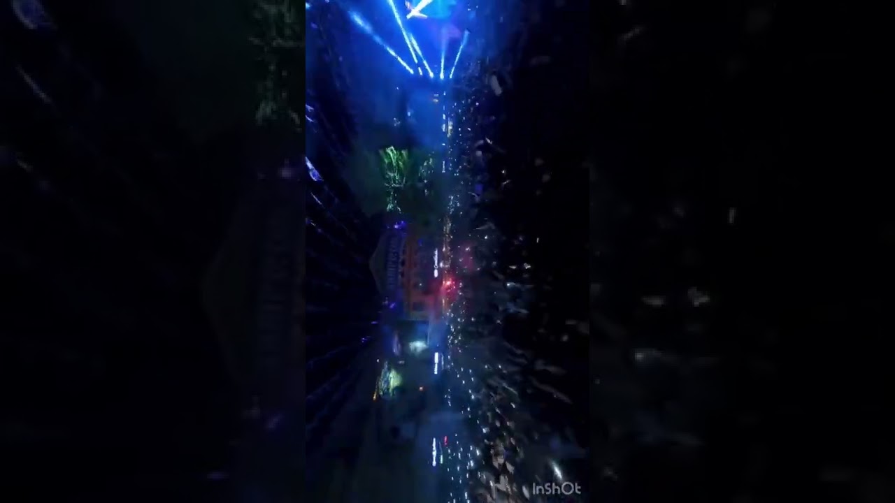 Trabzonspor Şampiyonluğu Kutlaması 🏆