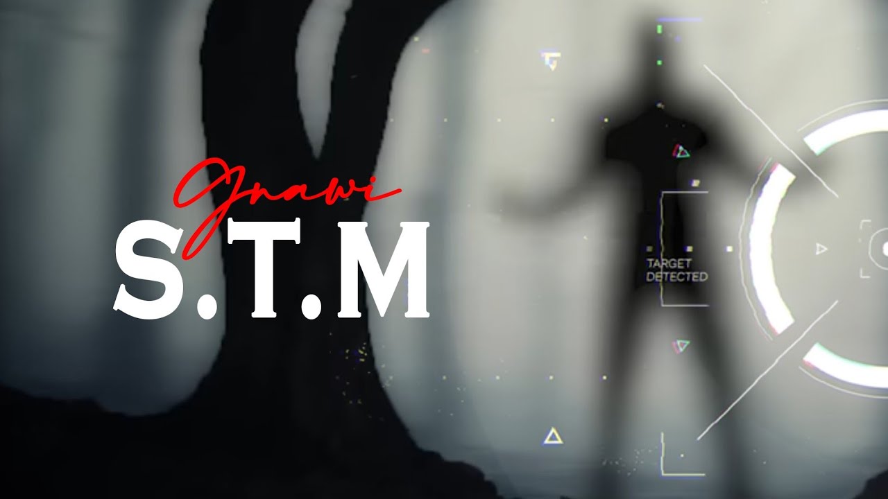 Gnawi - S.T.M | Official Music Video ๐ถ