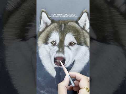 HOW TO DRAW A DOG'S NOSE #artprocess #drawing #pastelart #dog #drawingtutorial #drawingprocess