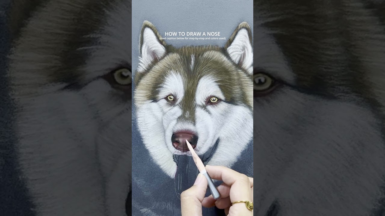 How to Draw a Dog's Nose: Step-by-Step Art Tutorial