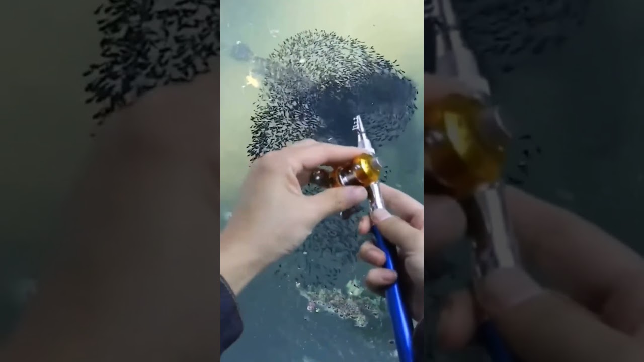 Travel-Friendly Mini Fishing Rod π£