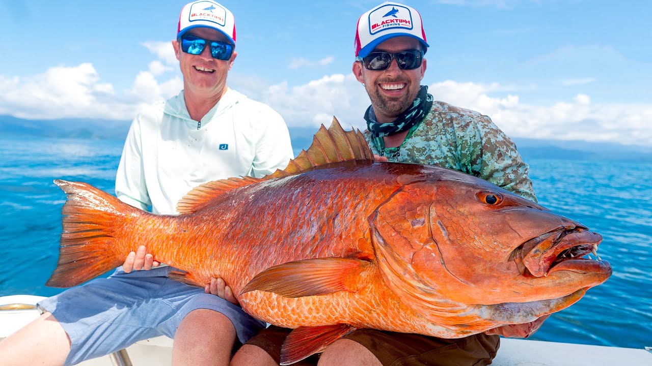 Huge Snapper Catch at Tropic Star Lodge 🎣