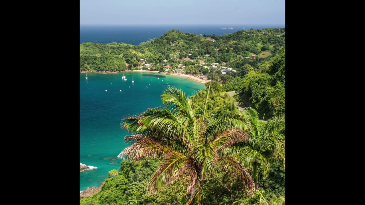 Geese - Trinidad (Official Audio) š¶