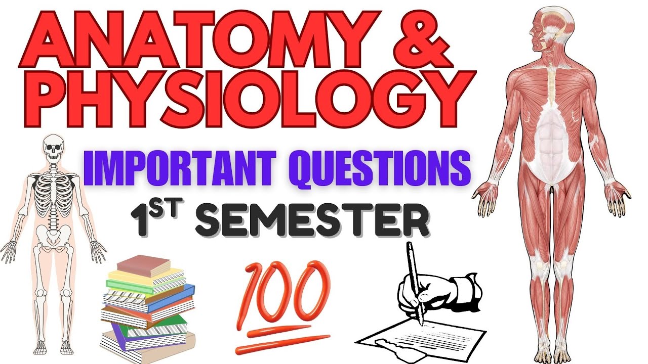 Anatomy & Physiology Important Questions | 1st Sem | BSc Nursing | Helpful for Freshers!!