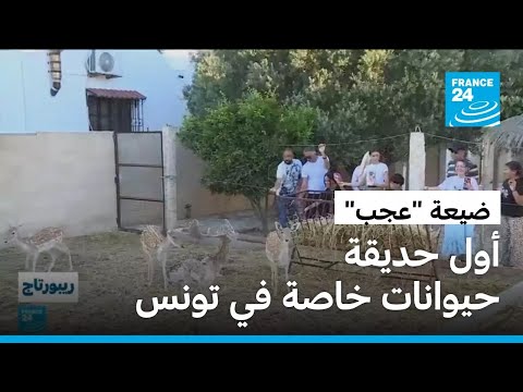 ضيعة "عجب".. أول حديقة حيوانات خاصة في تونس! • فرانس 24