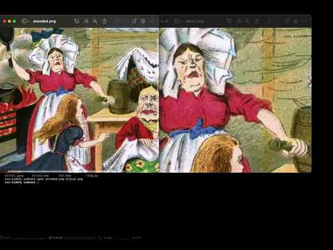 Steganography Demonstration