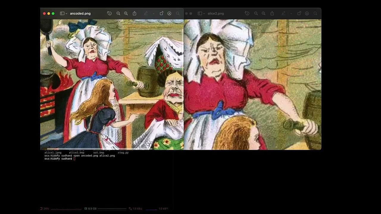 Learn Steganography with a Python Encoder/Decoder 🕵️‍♂️