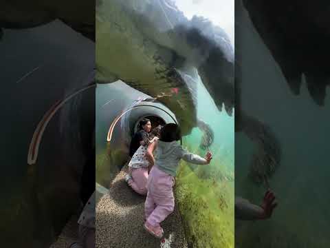 Those one ☝️ #adventure #travel #explore #nature