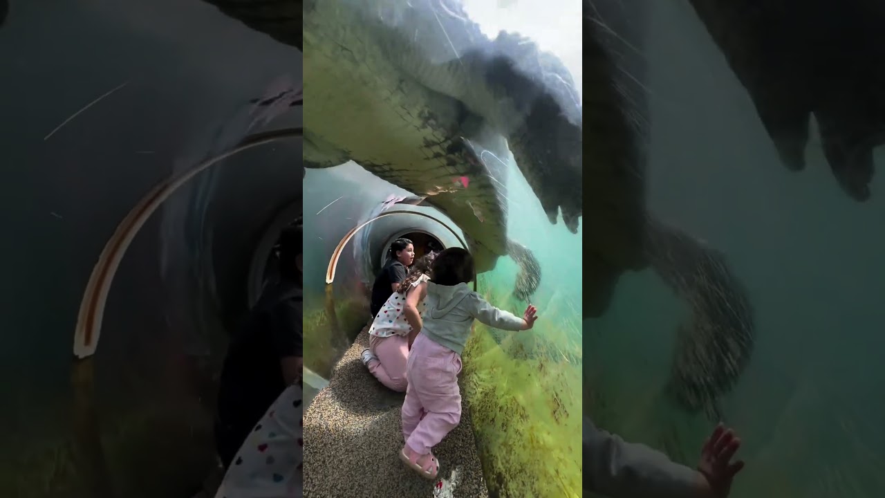 Explore Nature & Adventure 🌿