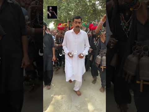 Mela Baba Shah Zulfaan Malan shah #mela