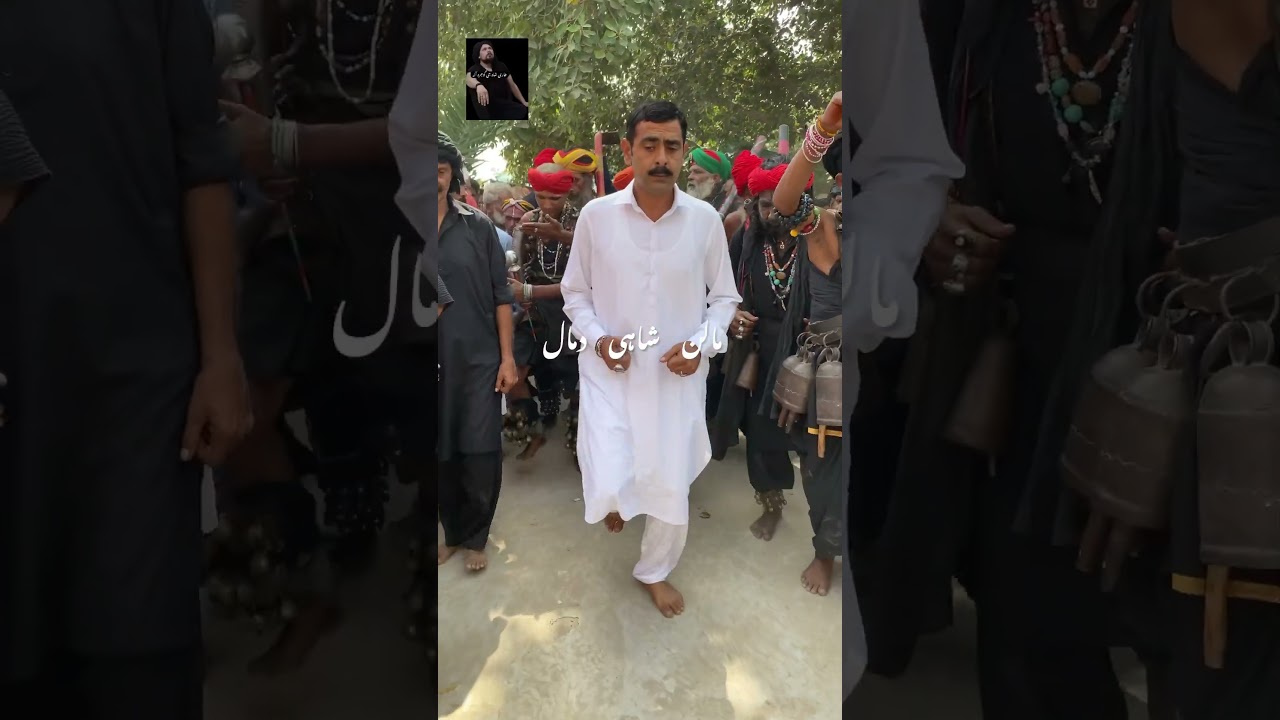 Mela Baba Shah Zulfaan Malan shah #mela
