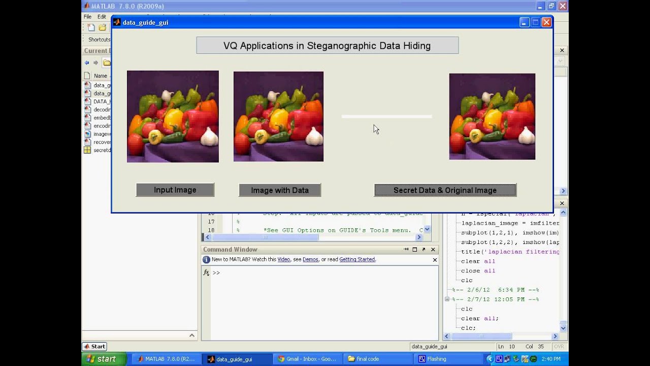IEEE MATLAB DATA HIDING