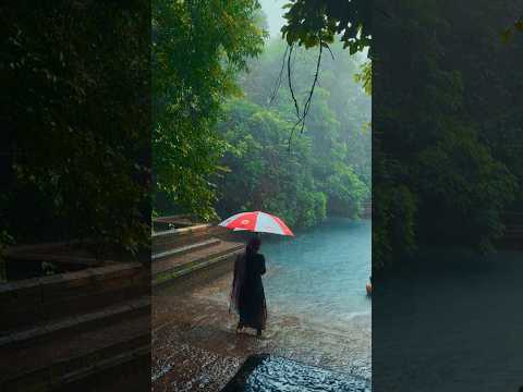Kerala monsoon #viral #trendingshorts #kozhikode